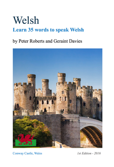 The front cover image showing the language book entitled  